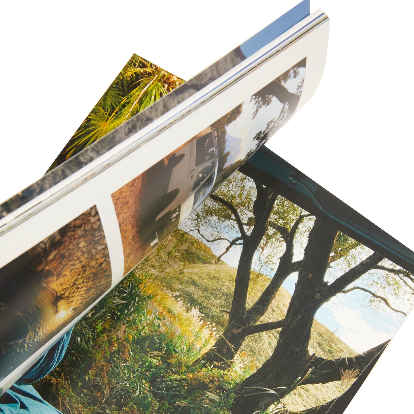 YOLO Journal - Issue 12 - Spring 23'