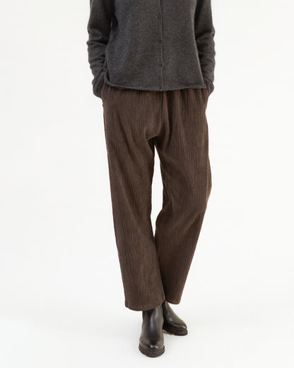 Apuntob Corduroy Trousers in Coffee