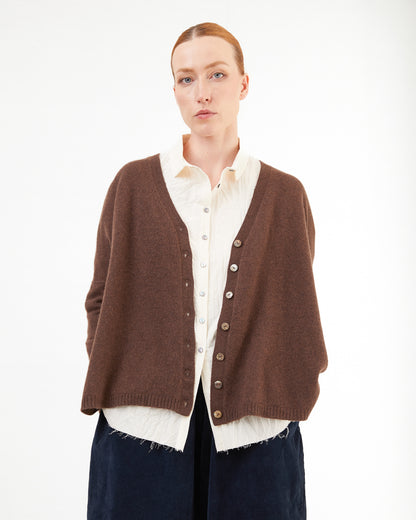 Album Di Famiglia Cashmere Cardigan in Chestnut