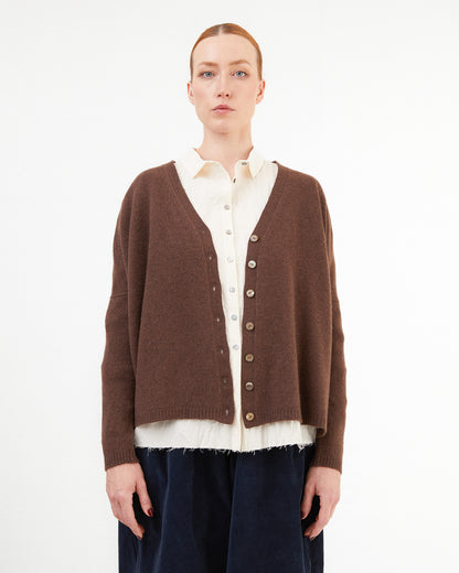 Album Di Famiglia Cashmere Cardigan in Chestnut