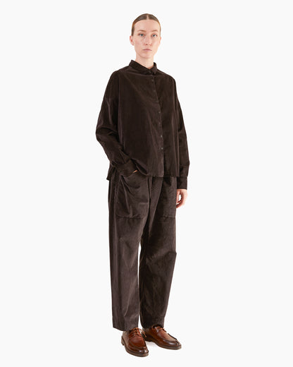 Album Di Famiglia Velvet Braghe Tasche Trousers in Brown