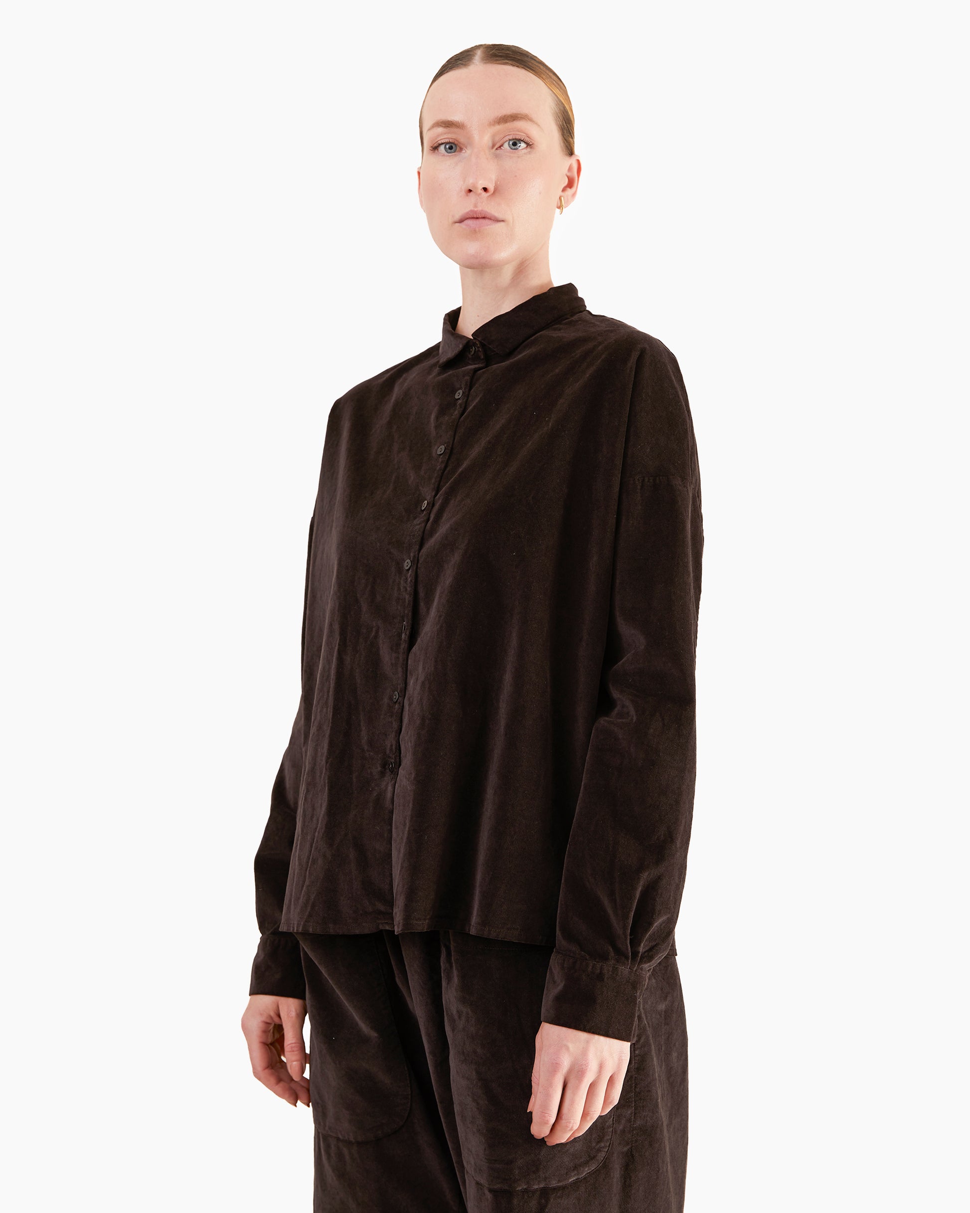 Album Di Famiglia Velvet Short Collar Shirt in Brown