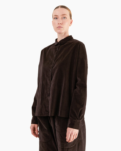 Album Di Famiglia Velvet Short Collar Shirt in Brown