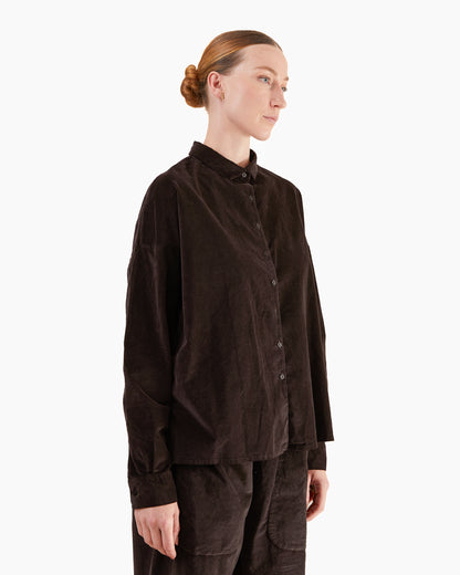 Album Di Famiglia Velvet Short Collar Shirt in Brown
