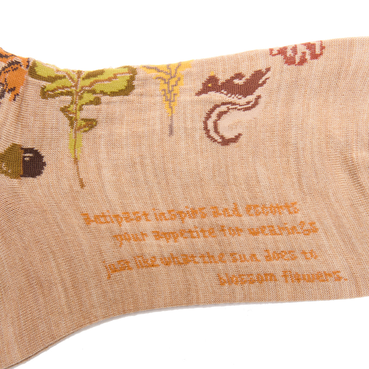 Antipast Autumn Park Socks in Beige