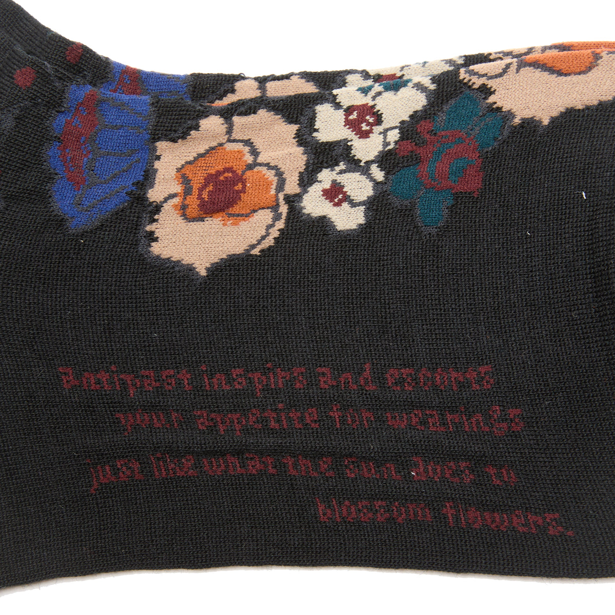Antipast Cokrico Socks in Black