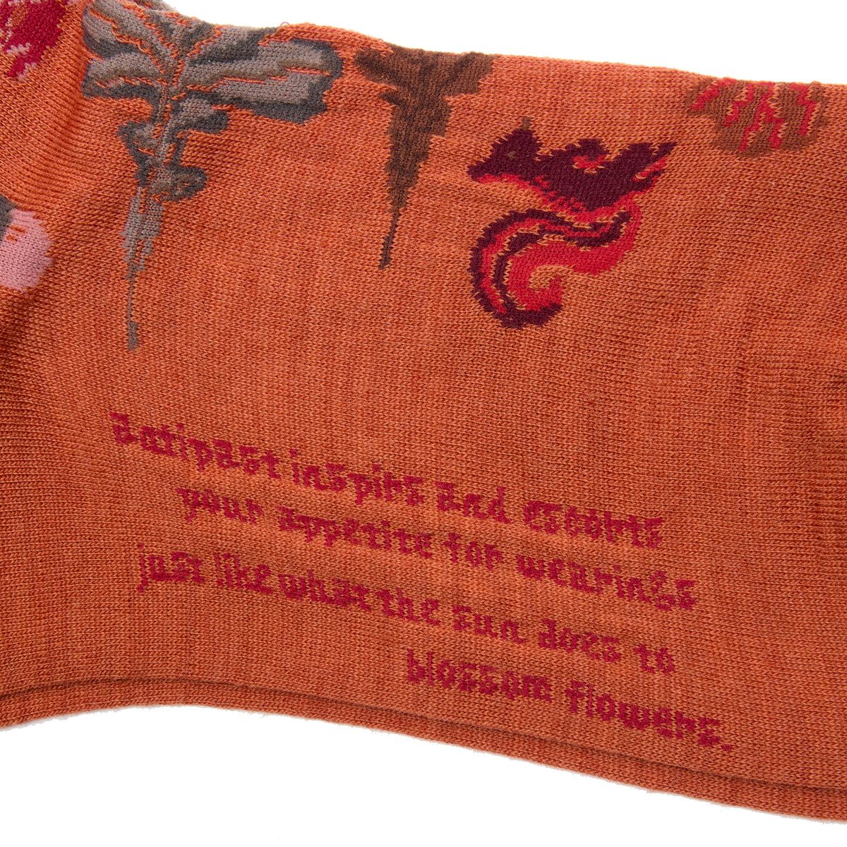 Antipast Autumn Park Socks in Orange