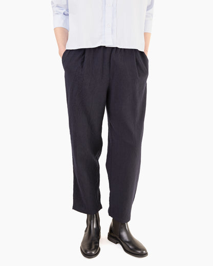 Apuntob P1002/TS990 Fleece Wool Trousers in Blue