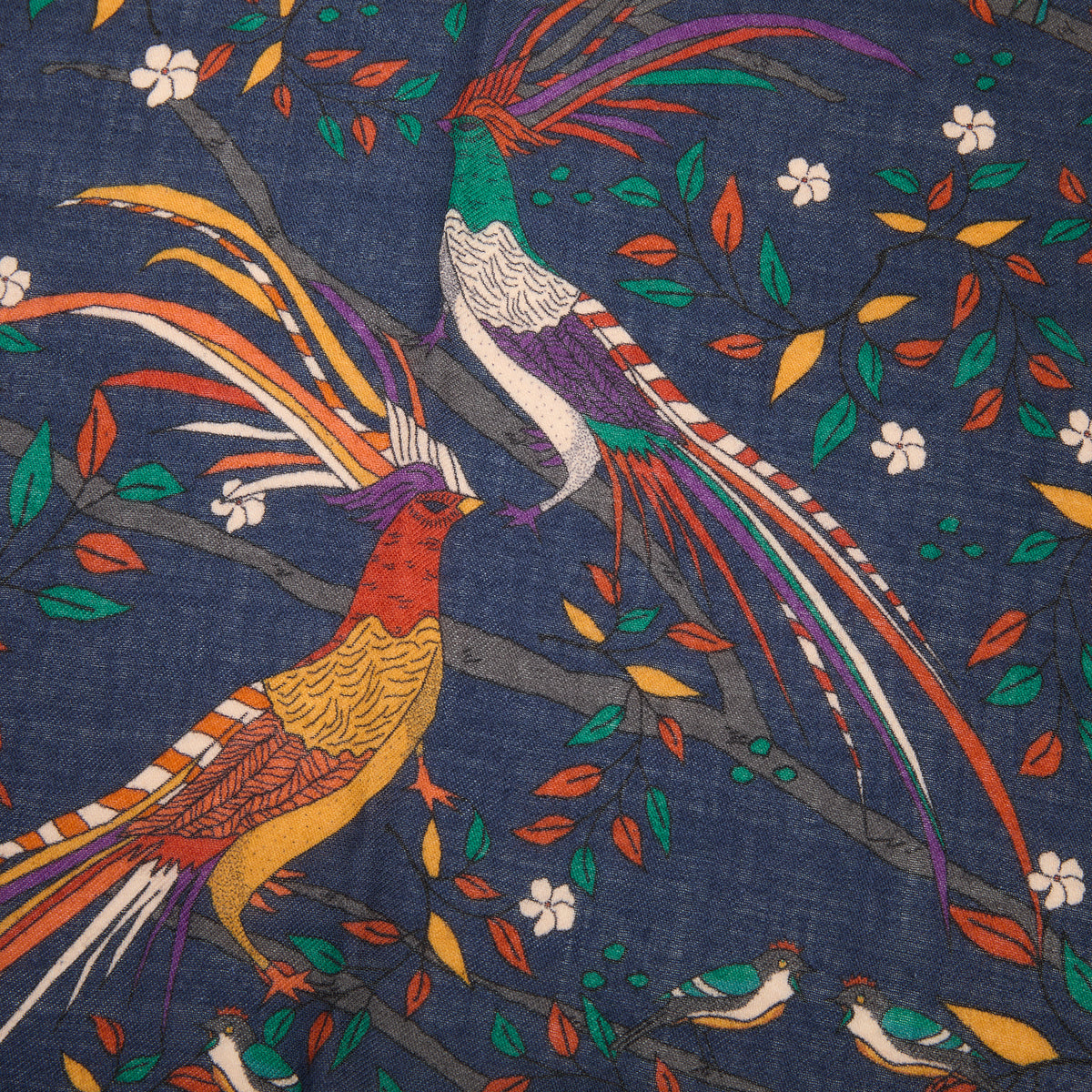 Drake's Birds of Paradise Wool Scarf in Navy