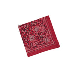 Drake's Classic Paisley Bandana in Red3