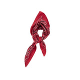 Drake's Classic Paisley Bandana in Red