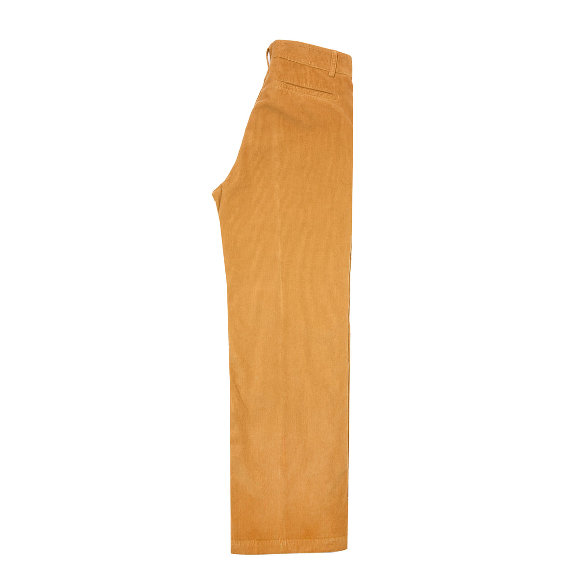 East Harbour Surplus Campbell Corduroy Trouser in  Mustard