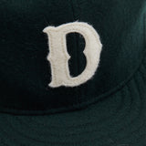 Ebbet's Field Flannels x Dick's Baseball Cap in Green