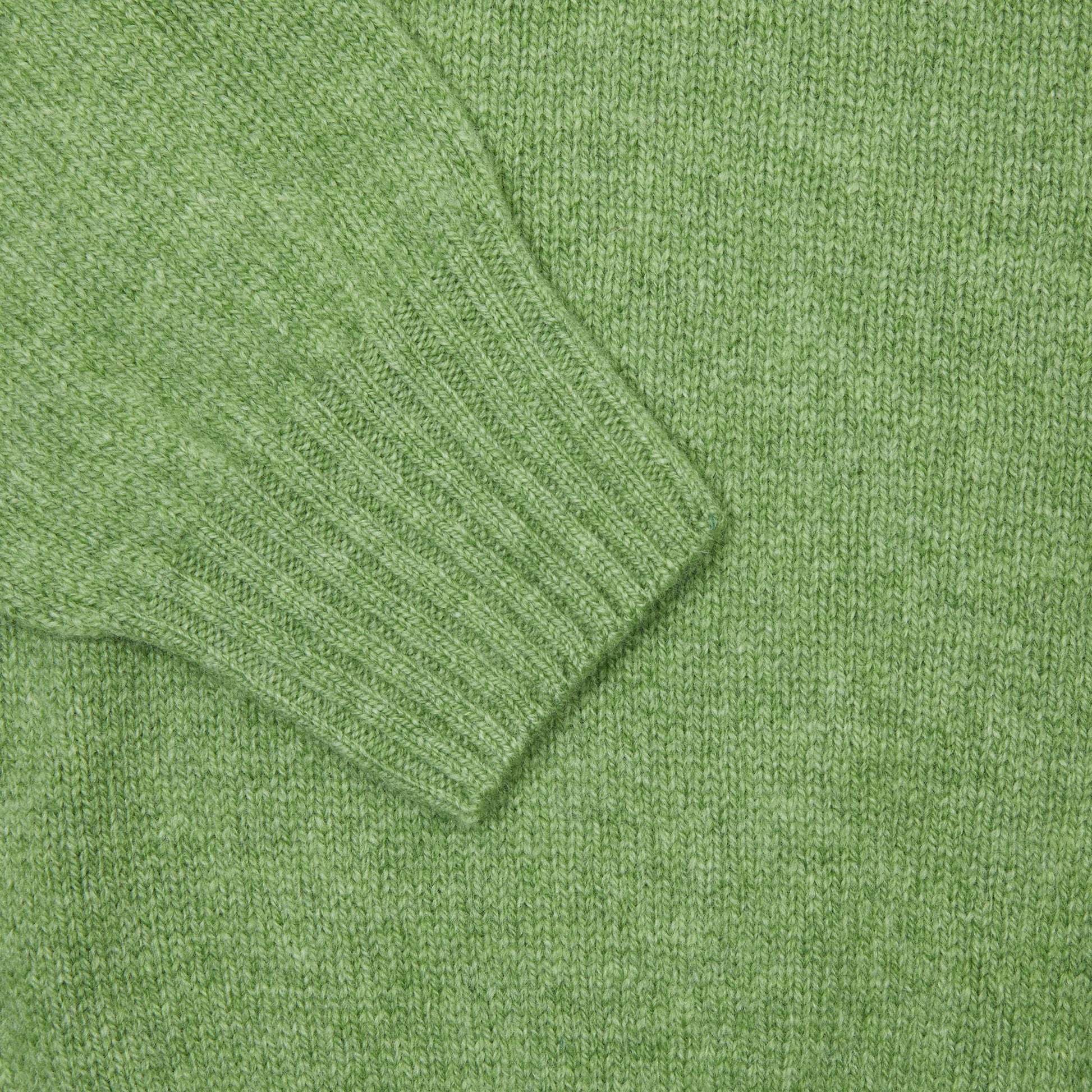 Harley Women's Crew Neck Jumper in Foliage