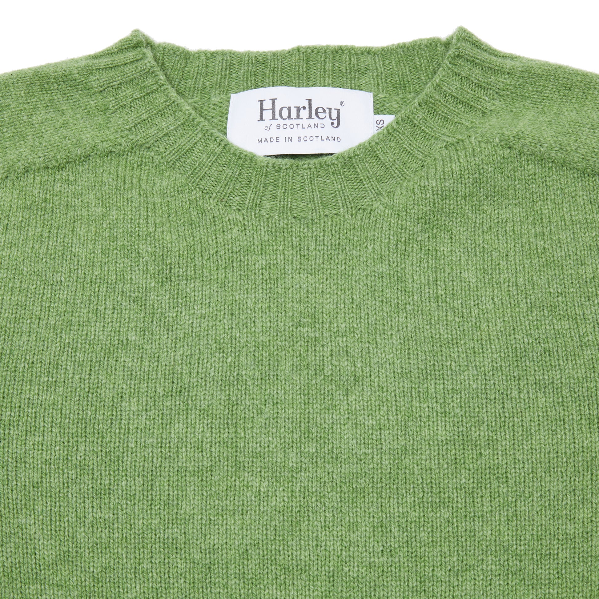 Harley Women's Crew Neck Jumper in Foliage