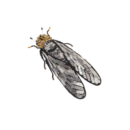 Silver cicada brooch. 