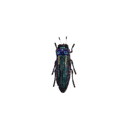 black beetle broch