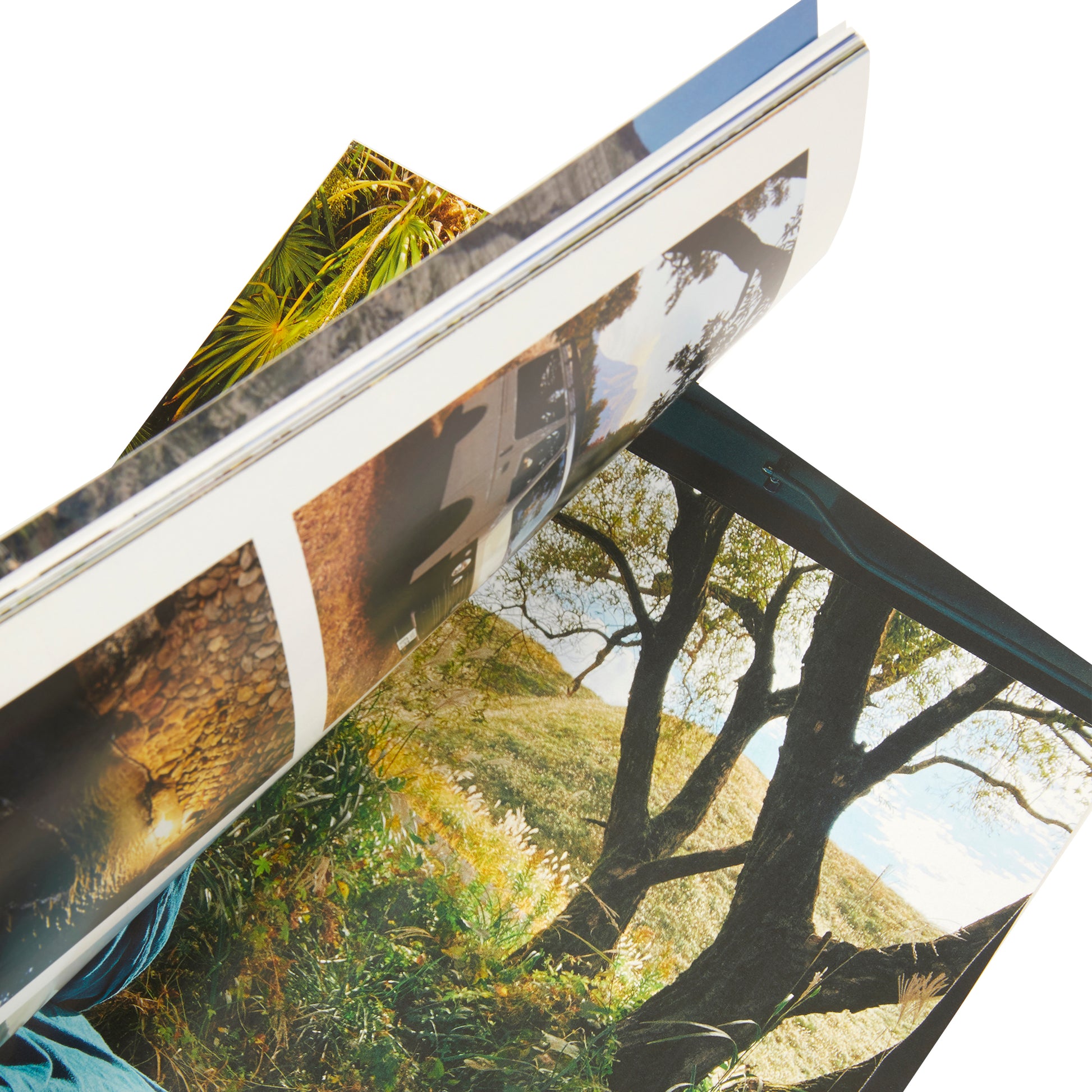 YOLO Journal - Issue 12 - Spring 23'