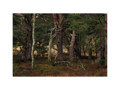 Support for Ukraine - Cairngorms